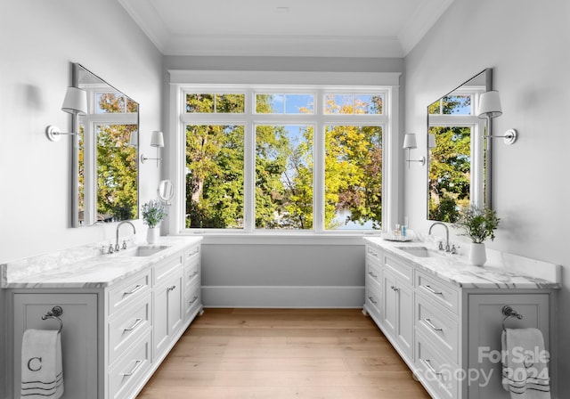 bathroom with crown molding, vanity, and hardwood / wood-style flooring