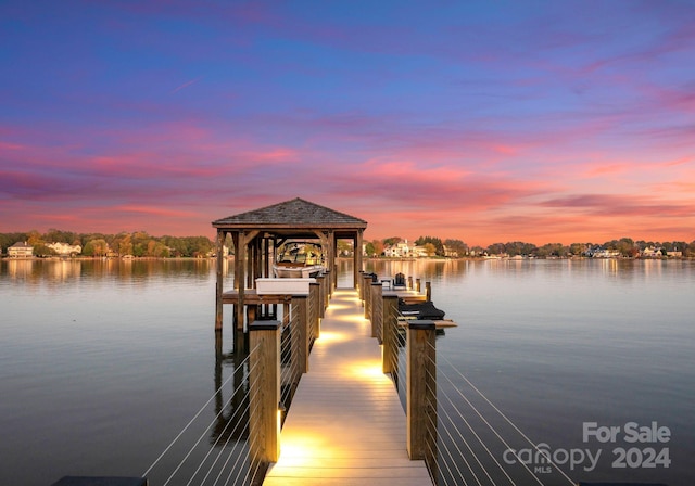 dock area with a water view