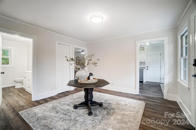 interior space featuring dark hardwood / wood-style floors and crown molding