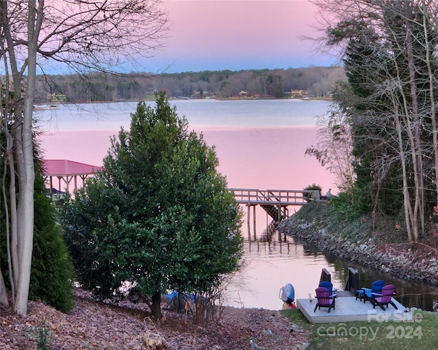 property view of water