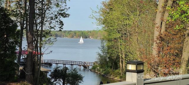 property view of water with a wooded view