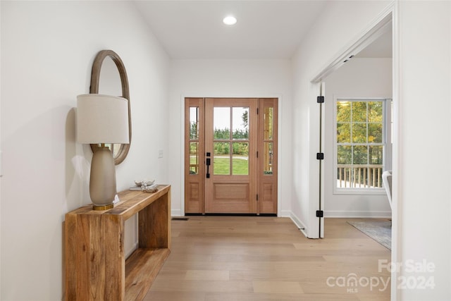 doorway to outside featuring light wood-type flooring and a wealth of natural light