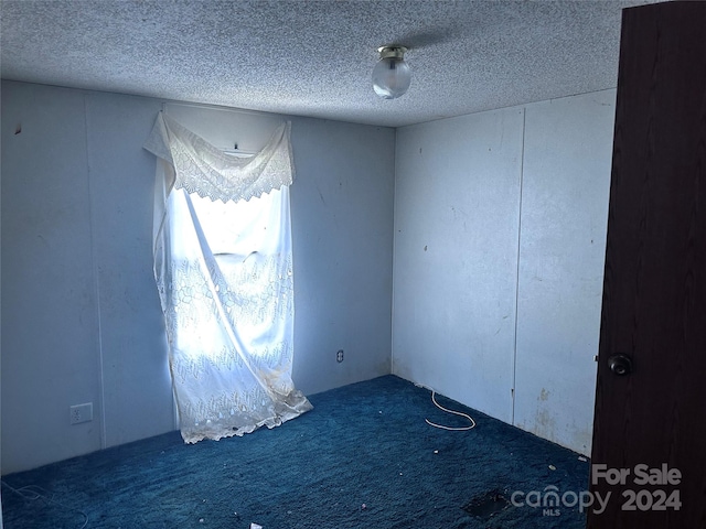 unfurnished room featuring a textured ceiling and carpet floors