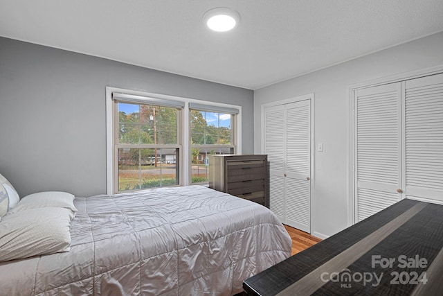 bedroom featuring hardwood / wood-style flooring and two closets