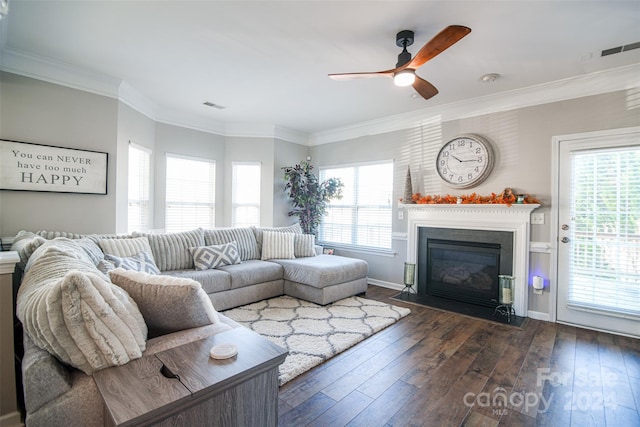 living room featuring a wealth of natural light, ceiling fan, dark wood-type flooring, and ornamental molding