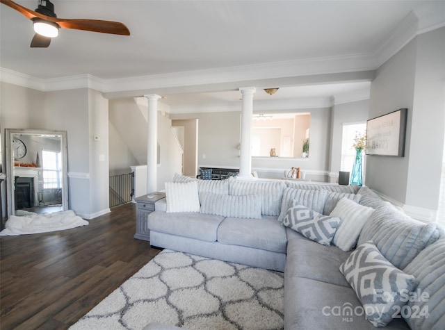 living room featuring crown molding, a wealth of natural light, and dark wood-type flooring