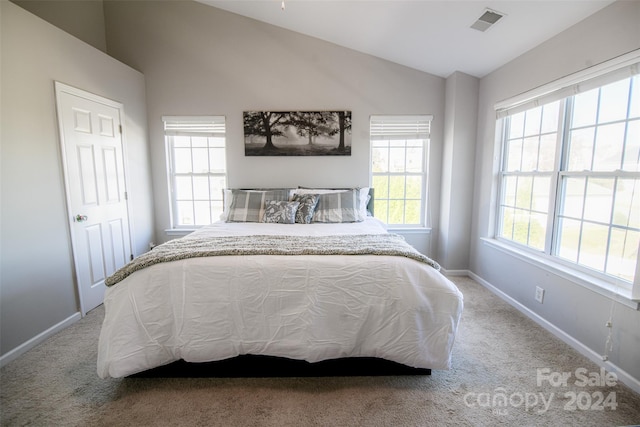 bedroom with carpet, vaulted ceiling, and multiple windows