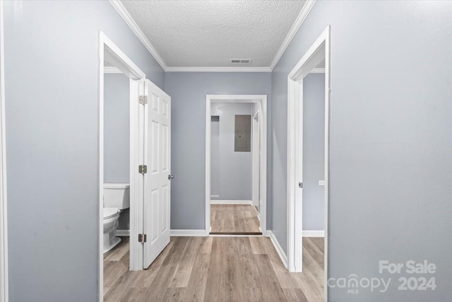 hallway with crown molding, light hardwood / wood-style flooring, electric panel, and a textured ceiling