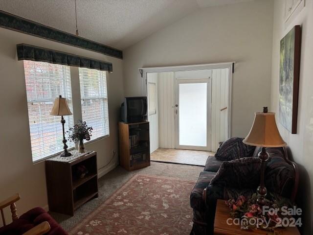 living room with light carpet, lofted ceiling, and a textured ceiling