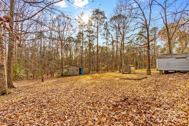 view of yard featuring a shed