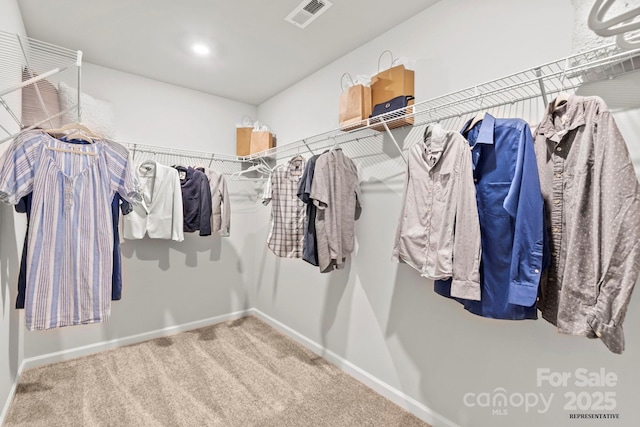 spacious closet featuring visible vents and carpet flooring