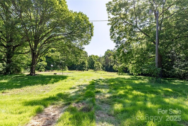 425 Mimosa St, Cleveland, NC 27013 - photo 4