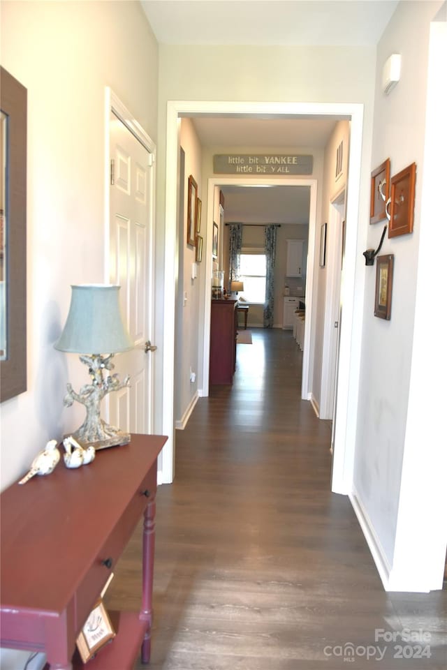 hallway featuring dark wood-type flooring