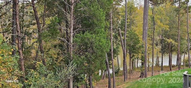 view of nature with a water view