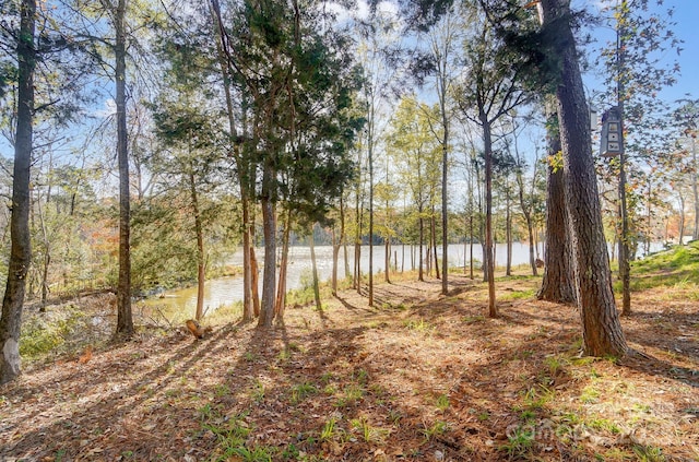 25622 Seagull Dr Unit 645, Lancaster, SC 29720 - view of yard