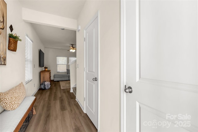 corridor featuring hardwood / wood-style floors