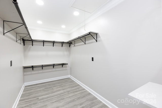 spacious closet featuring light hardwood / wood-style flooring