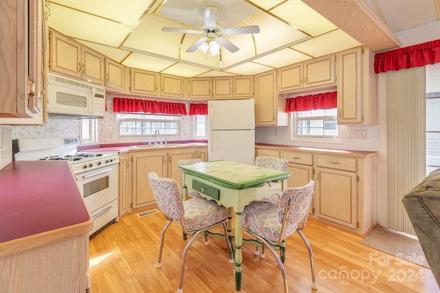 kitchen featuring light hardwood / wood-style floors, sink, light brown cabinetry, ceiling fan, and white appliances