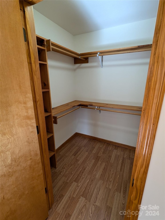 spacious closet featuring wood-type flooring