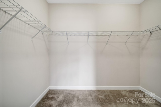 4919 Polo Gate Blvd, Charlotte, NC 28216 - spacious closet with carpet