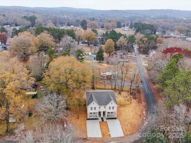 bird's eye view