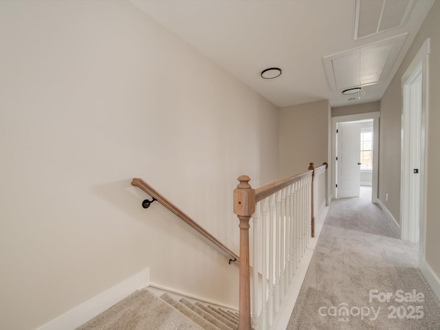 stairway with carpet