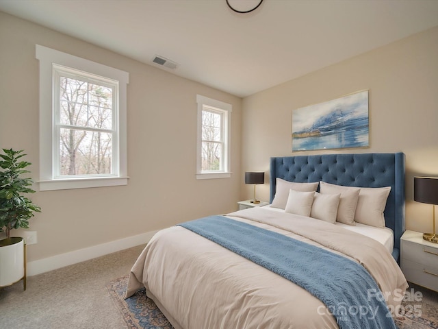 bedroom with carpet flooring