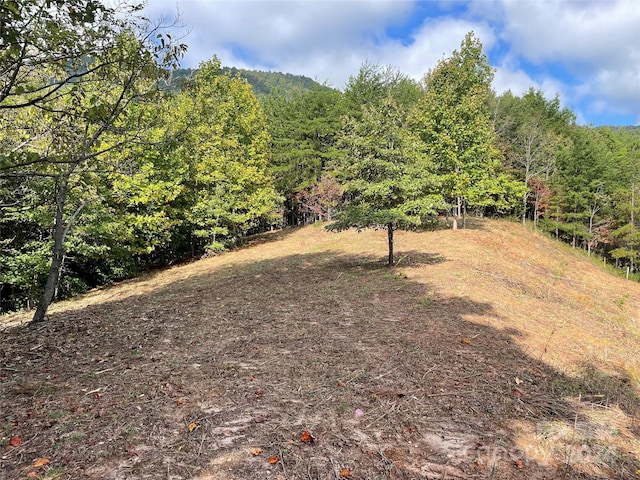 00 Birkdale Dr Unit 159, Mill Spring, NC 28756 - view of yard featuring a forest view