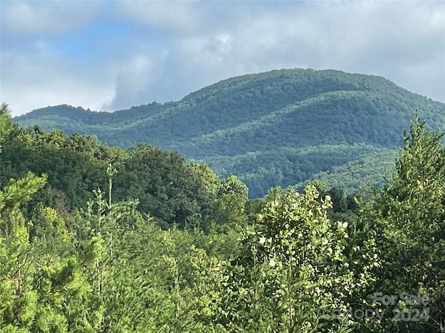 view of mountain feature