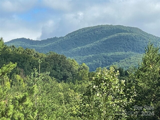 00 Birkdale Dr Unit 159, Mill Spring, NC 28756 - view of mountain backdrop featuring a forest
