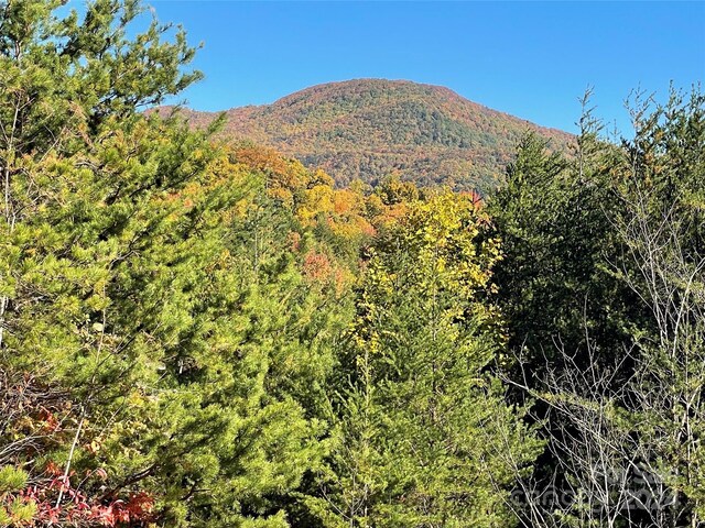 00 Birkdale Dr Unit 159, Mill Spring, NC 28756 - view of mountain background featuring a heavily wooded area