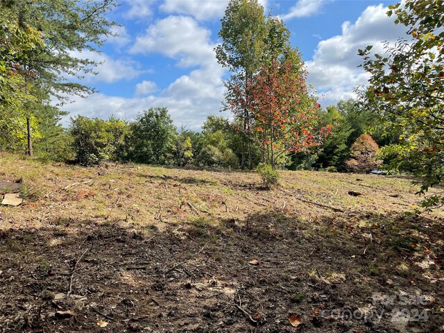 00 Birkdale Dr Unit 159, Mill Spring, NC 28756 - view of tree filled area