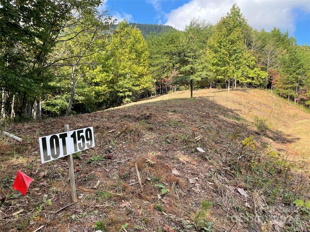 00 Birkdale Dr Unit 159, Mill Spring, NC 28756 - view of yard with a wooded view