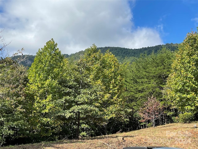 property view of mountains