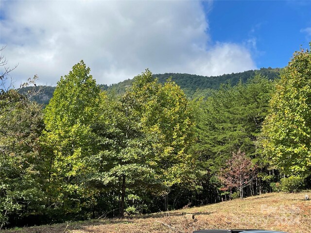 00 Birkdale Dr Unit 159, Mill Spring, NC 28756 - mountain view featuring a heavily wooded area