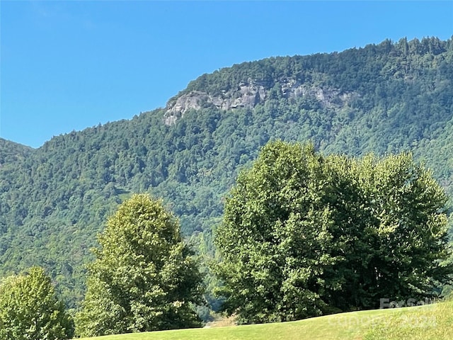 view of mountain feature