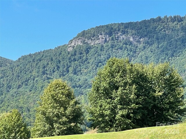 00 Birkdale Dr Unit 159, Mill Spring, NC 28756 - view of mountain backdrop with a heavily wooded area