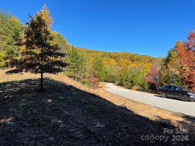 00 Birkdale Dr Unit 159, Mill Spring, NC 28756 - view of yard with a forest view