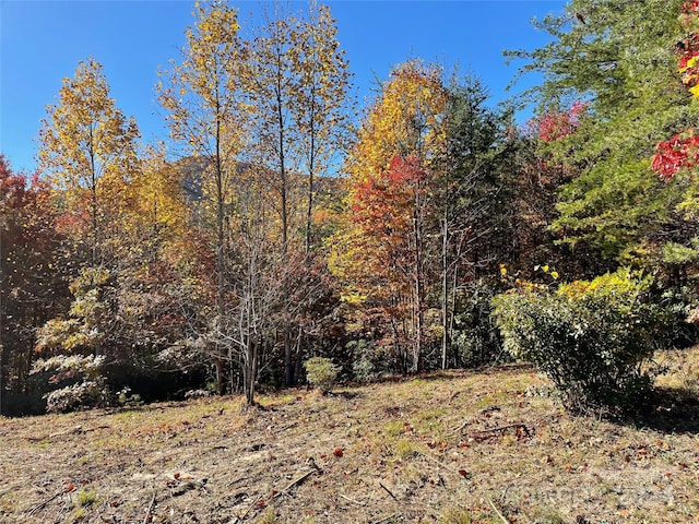 00 Birkdale Dr Unit 159, Mill Spring, NC 28756 - view of woods
