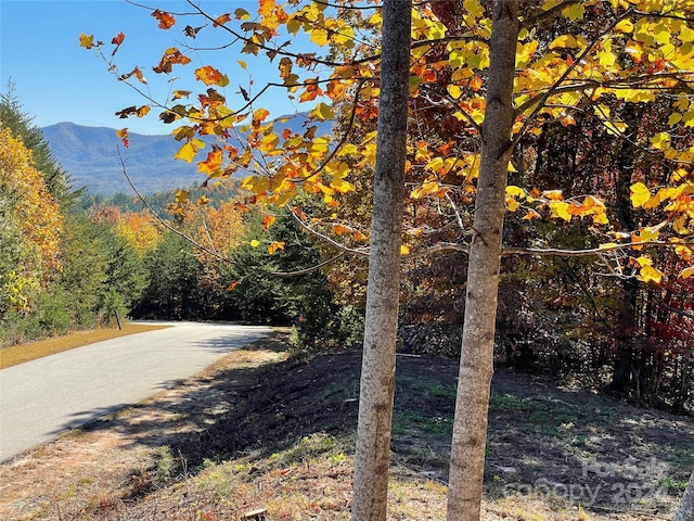 view of road featuring a mountain view