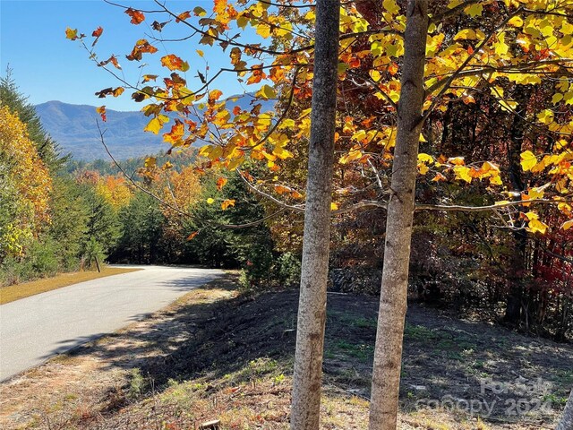 00 Birkdale Dr Unit 159, Mill Spring, NC 28756 - view of asphalt road with a mountain view and a wooded view