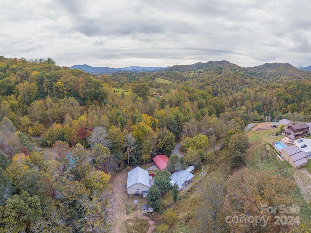 birds eye view of property featuring a mountain view