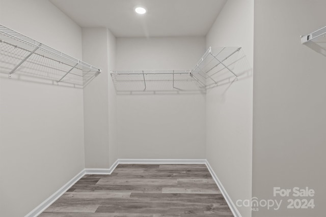 spacious closet featuring hardwood / wood-style floors