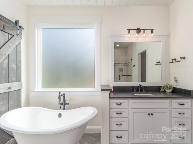 bathroom featuring vanity and separate shower and tub