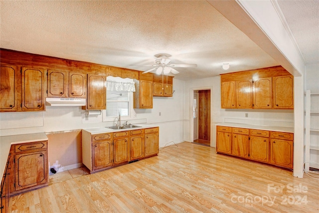 kitchen featuring ceiling fan, sink, light hardwood / wood-style floors, and a textured ceiling