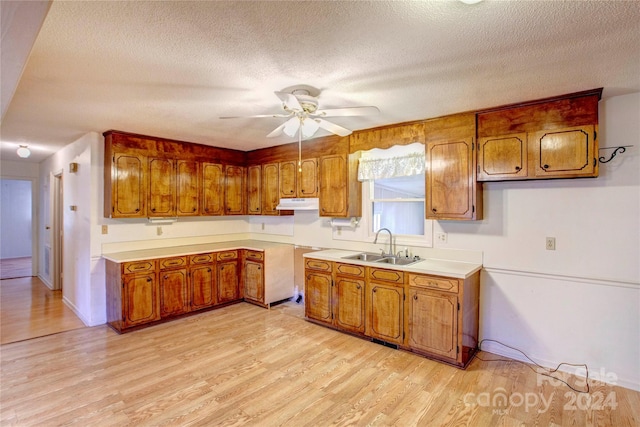 kitchen with a textured ceiling, light hardwood / wood-style flooring, sink, and ceiling fan