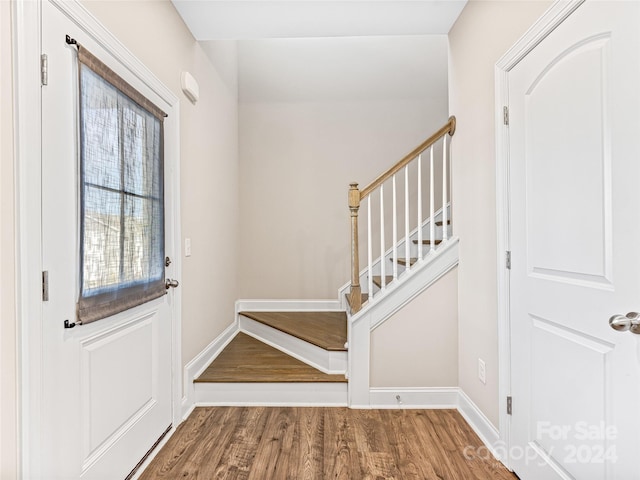 entryway featuring wood-type flooring