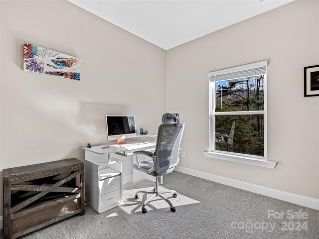 office space featuring carpet floors