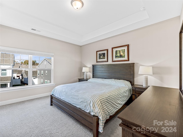 carpeted bedroom with a tray ceiling