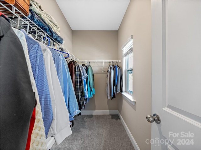 walk in closet featuring carpet flooring